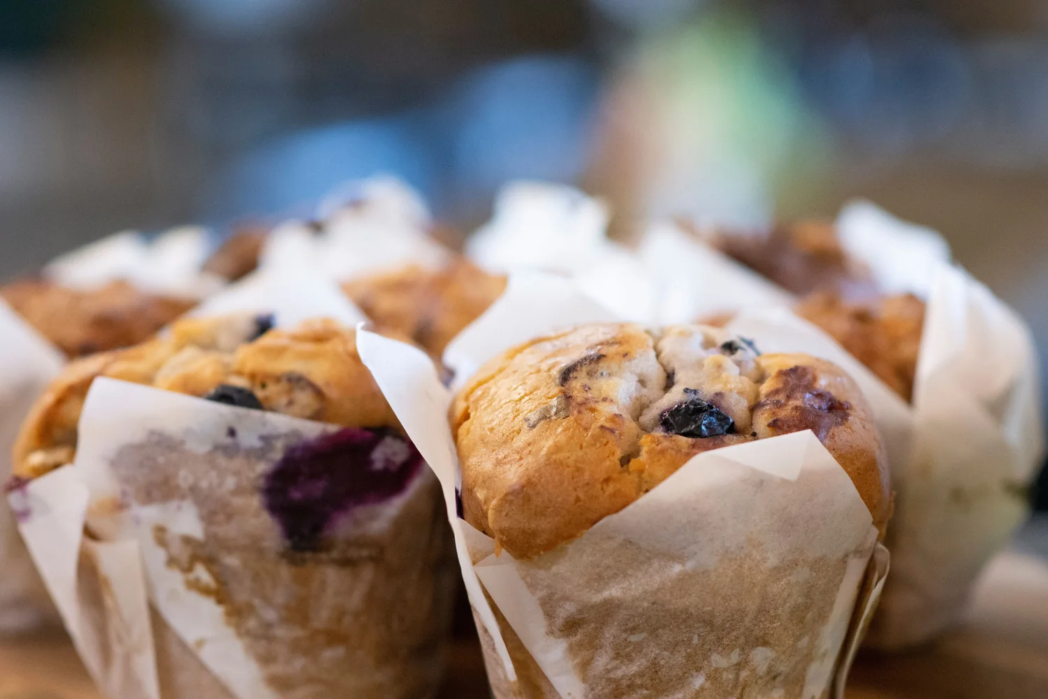 Banana Blueberry Protein Muffins with Greek Yogurt